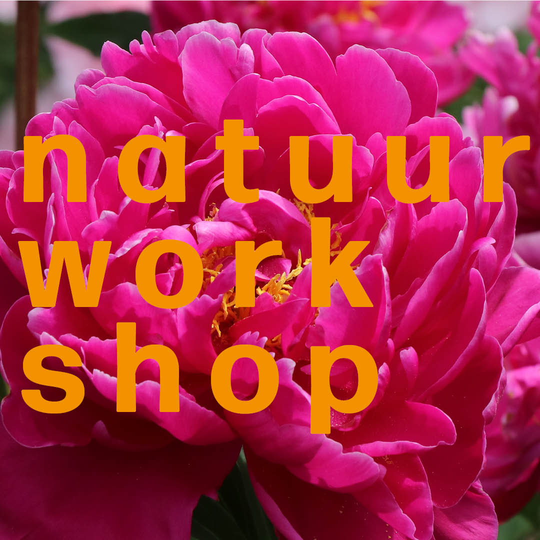 Natuurworkshop bloemenkracht