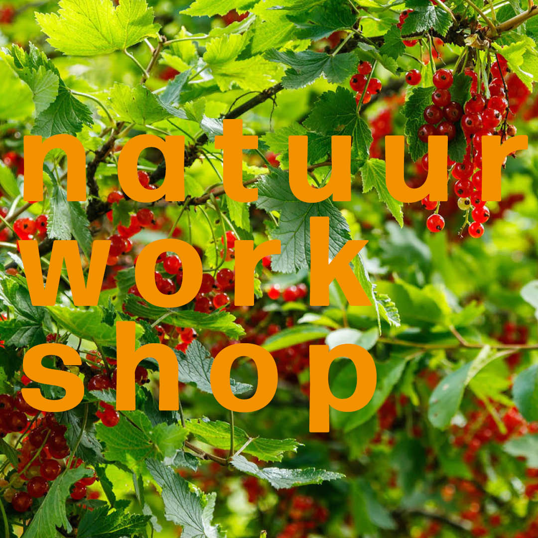 Natuurworkshop aalbessen
