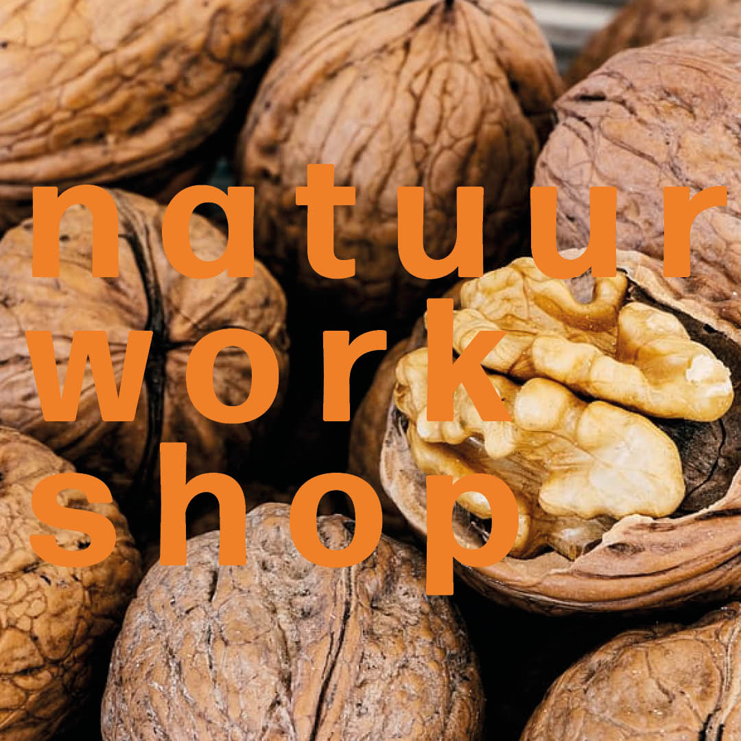 Natuurworkshop walnoten