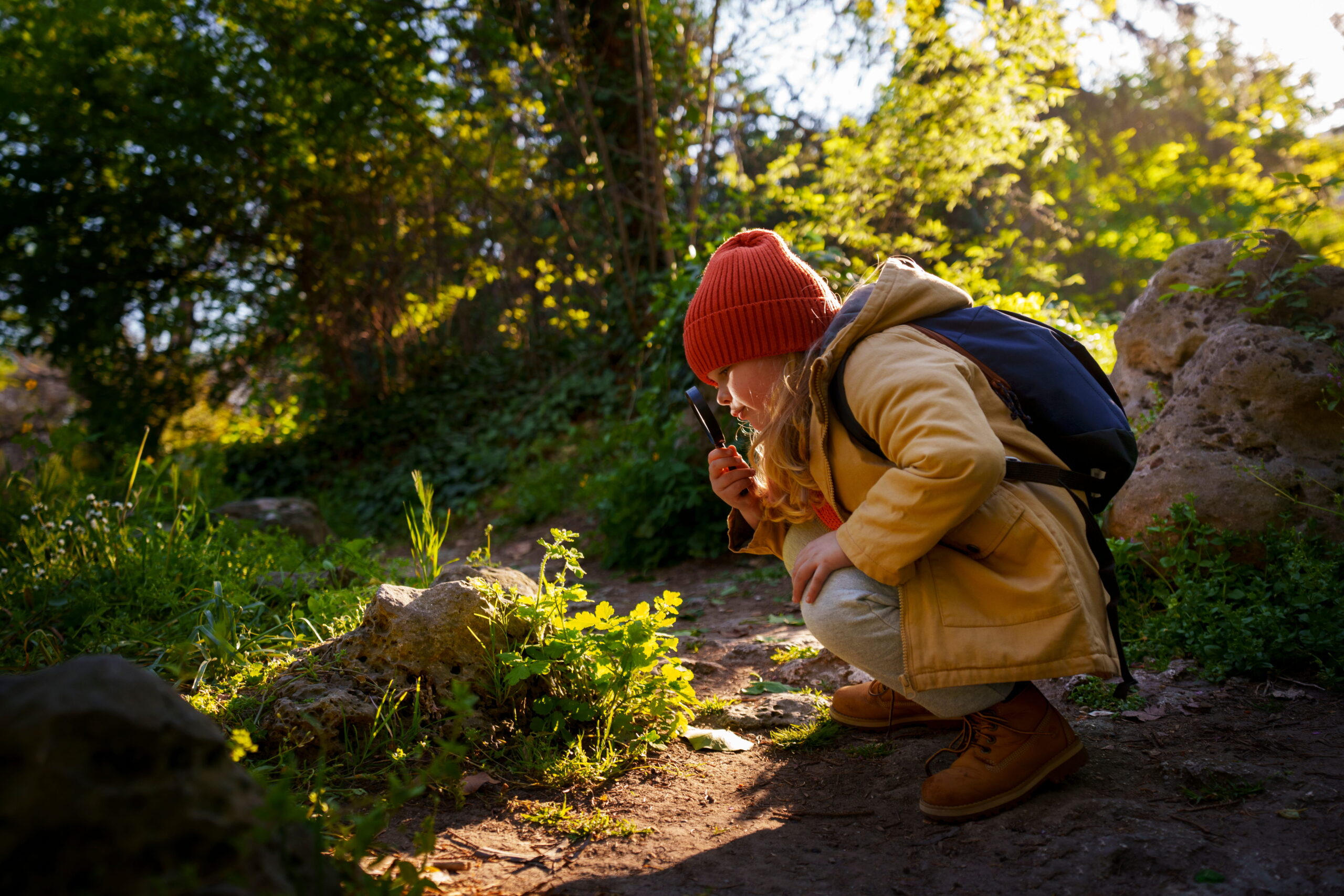 Natuurworkshop: De Natuurverzameling