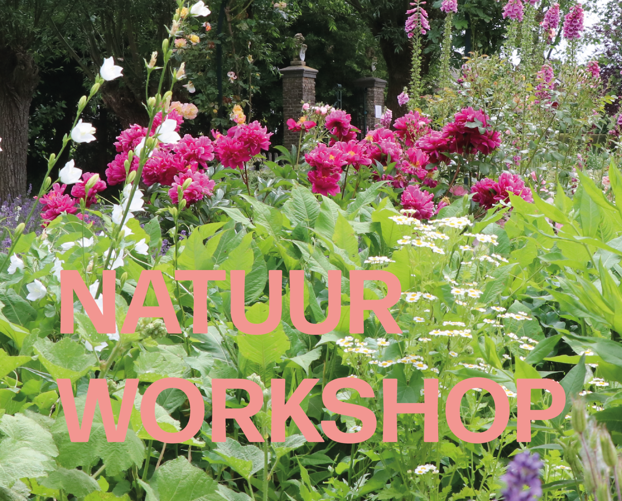 Nieuwe Natuurworkshop door Marjan Pols - de Pee